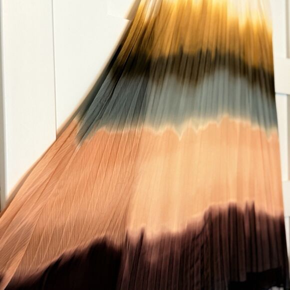 Simply Vera Wang Women’s Pleated Chiffon Ombré Maxi Skirt Size S - Picture 8 of 9